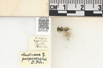 Media type: image;   Entomology 773791 Aspect: Labels